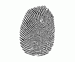 Fingerprint Vectors, Photos And PSD Files | Free Download PNG images