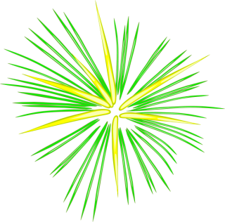 Green Fireworks Png PNG images