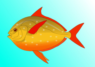 Colorful Fish In Water PNG images