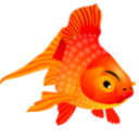 Fish Icon PNG images