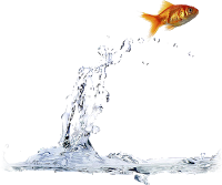 Flying Fish Water PNG images