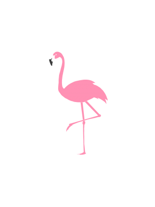Intertwined With Nature Flamingo Picture PNG images