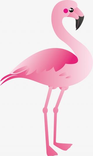 Pink Flamingo Designs Pictures PNG images