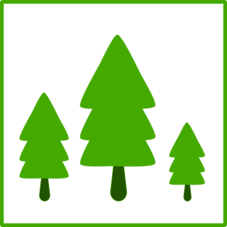 Free Vector Forest PNG images