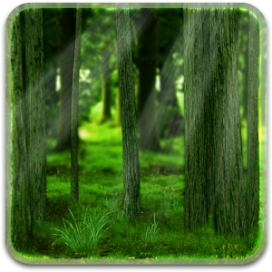 Svg Icon Forest PNG images