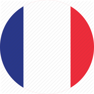 Transparent France Flag Icon PNG images