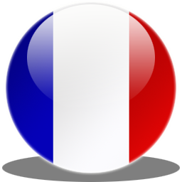 Library France Flag Icon PNG images