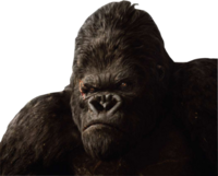 King Kong Gorilla Png PNG images