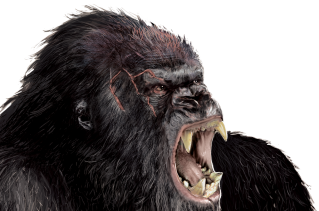 Gorilla PNG Transparent Image PNG images