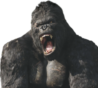 Download For Free Gorilla Png In High Resolution PNG images