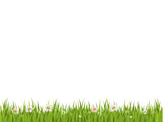 Green Grass On White Background Png PNG images