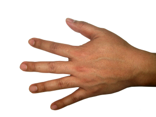 Hands Png Photo PNG images