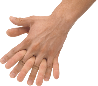 Two Hands, Arm Png PNG images