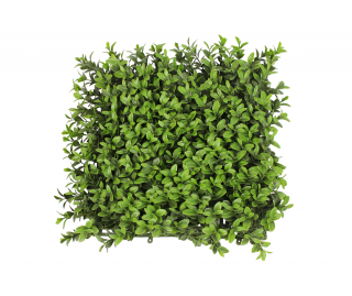 Free Download Of Hedges Icon Clipart PNG images