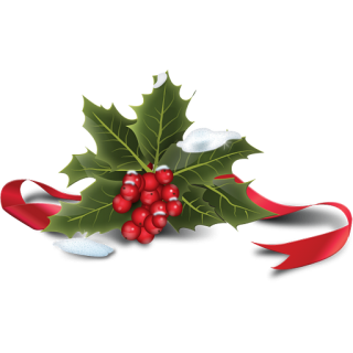 Holly Icon PNG images