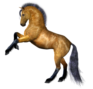 Clipart Png Horse Best PNG images