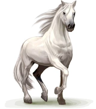 PNG Horse Image PNG images