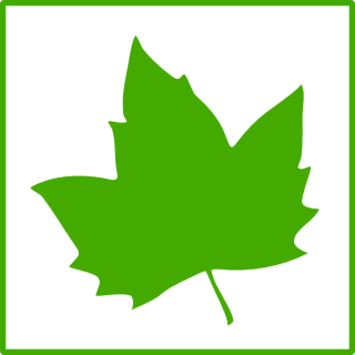 Vector Leaf Icon PNG images