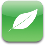 Icon Png Leaf PNG images