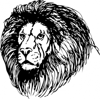 Lion Head Best Clipart Png PNG images