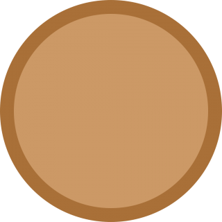 Bronze Medal Blank Icon PNG images