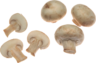 High Resolution Mushroom Png Icon PNG images