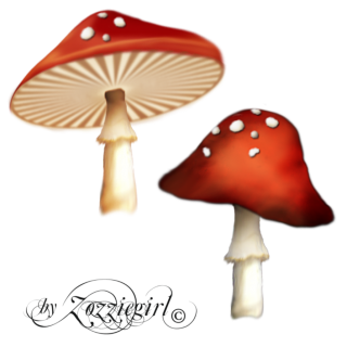 Poisonous Red Mushroom Png PNG images