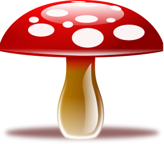 Red Mushroom Png Clipart PNG images