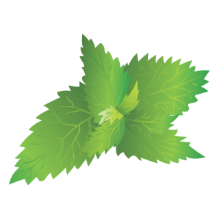 Hd Nettle Picture Transparent Background PNG images