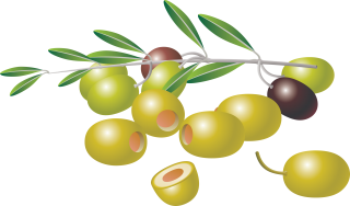 Icon Download Olives PNG images