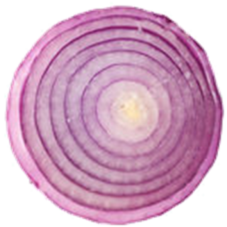 Onion Png Available In Different Size PNG images