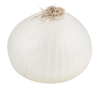 Browse And Download Onion Png Pictures PNG images