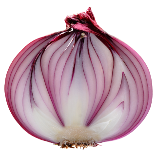 Slice Onion Png PNG images