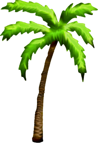 Palm Tree Png Available In Different Size PNG images