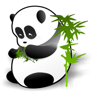 Drawing Panda Vector PNG images