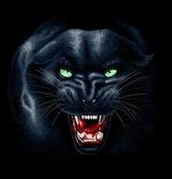 For Icons Windows Panther PNG images
