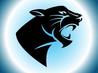 Panther Free Svg PNG images