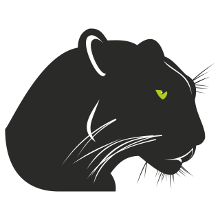 Panther Icon Image Free PNG images