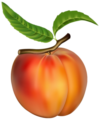 Peach PNG Clipart Image PNG images