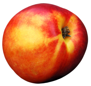 Peach PNG Image PNG images