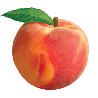 Peaches With Leaf Png PNG images