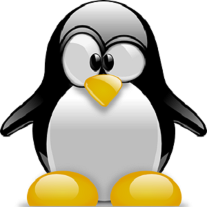 Vector Icon Penguin PNG images