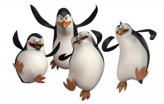 Best Free Penguin Png Image PNG images