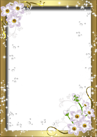 File Photo Frame PNG PNG images