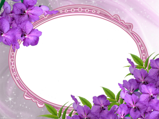 Purple Wedding Photo Frame Png PNG images