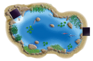 High Resolution Pond Png Clipart PNG images