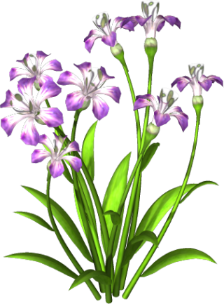 Purple Flower PNG Download Free PNG images