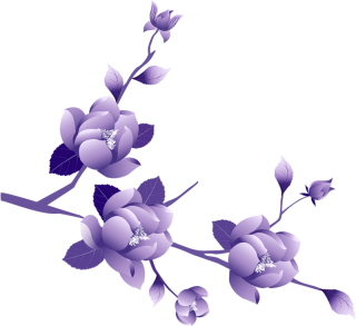 Download Purple Flower Icon PNG images