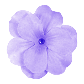 Download Purple Flower Latest Version 2018 PNG images