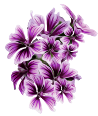 Purple Flower Png Purple Flower By Mircia90 PNG images